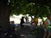 DSCN0733